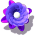 Common Smol Flower