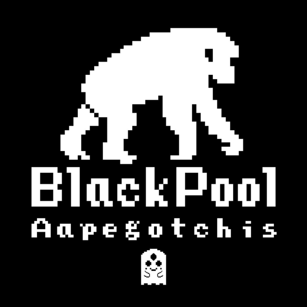 BlackPool’s Aapegotchis